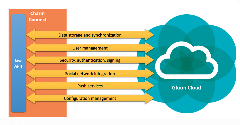 Gluon Charm Documentation