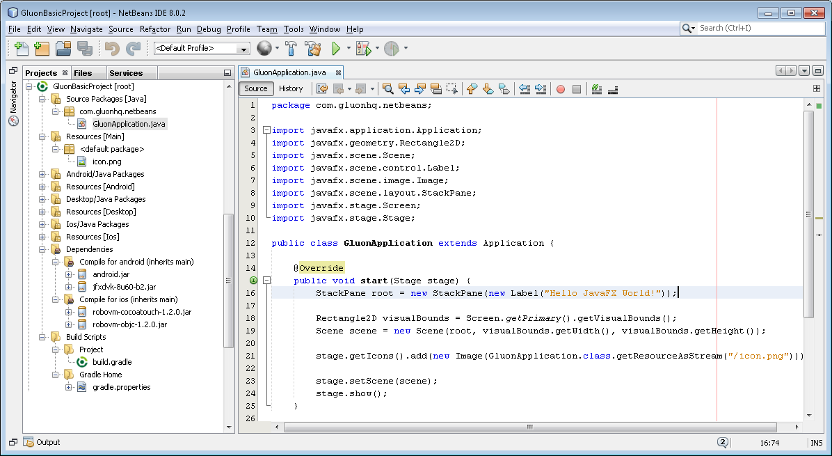 NetBeans Project