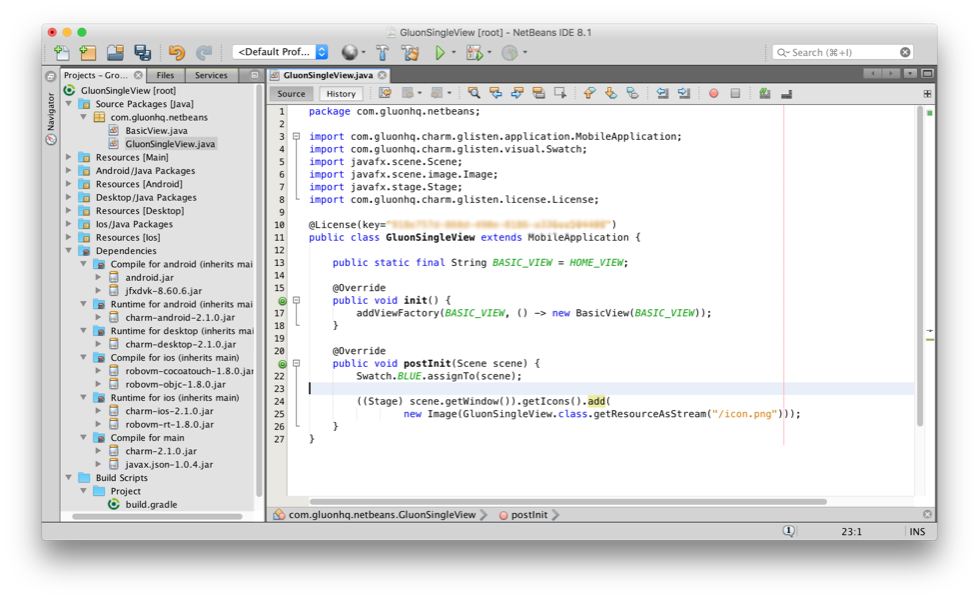 NetBeans Project