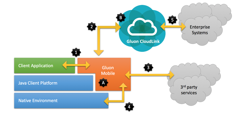 gluon arch1