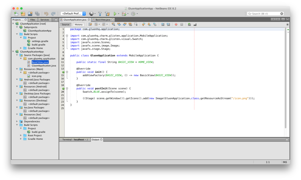 NetBeans Project