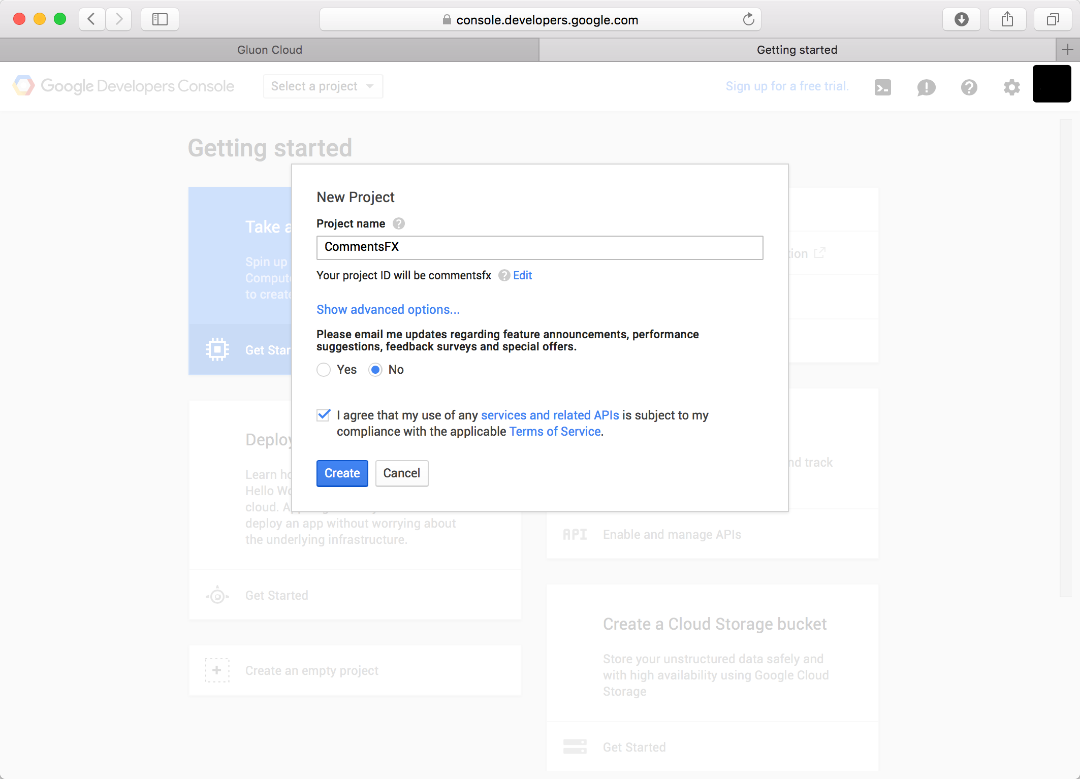 Provide Project's name Google