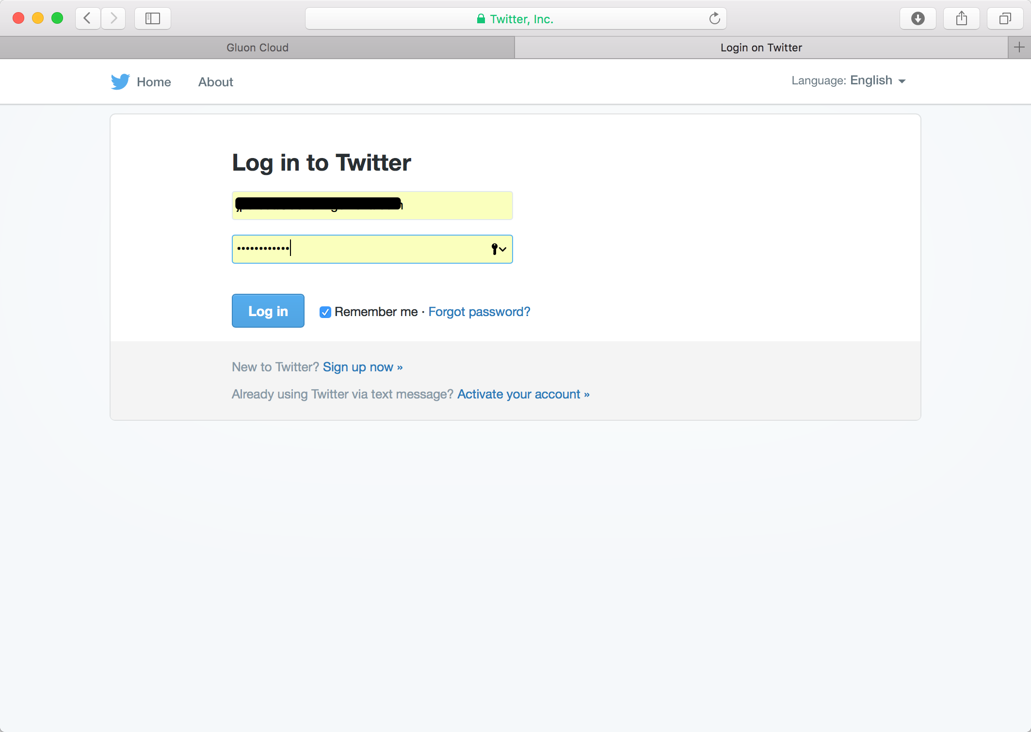 Signing in Twitter Apps