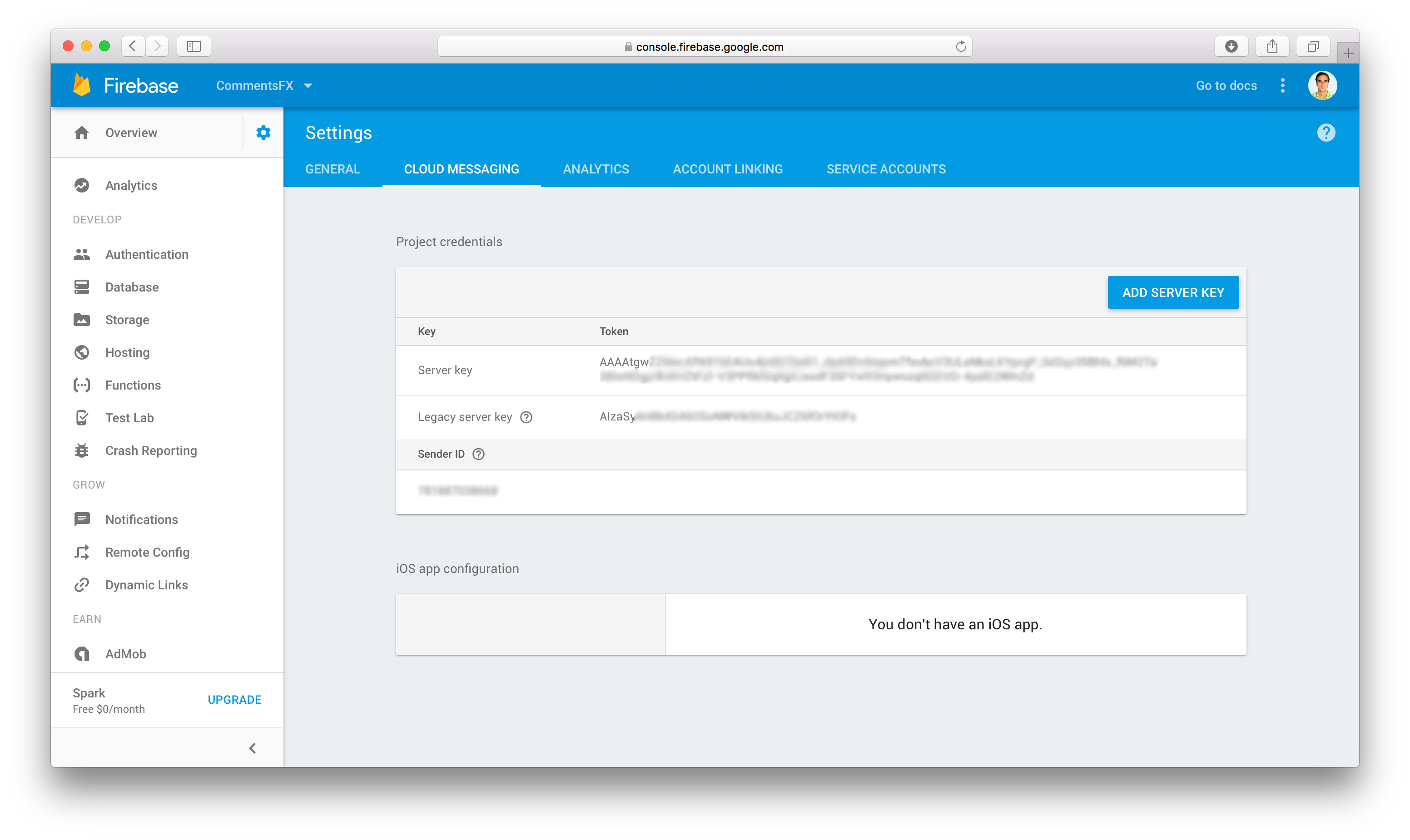 Firebase - cloud messaging credentials